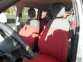Fiat Panda Panda 0.9 t.air t. natural power Easy 80cv Bianco - thumbnail 10