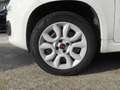 Fiat Panda Panda 0.9 t.air t. natural power Easy 80cv Bianco - thumbnail 6