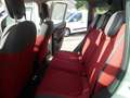 Fiat Panda Panda 0.9 t.air t. natural power Easy 80cv Bianco - thumbnail 14