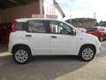 Fiat Panda Panda 0.9 t.air t. natural power Easy 80cv Bianco - thumbnail 2