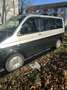 Volkswagen T5 California Caravelle Trendline Grau - thumbnail 18