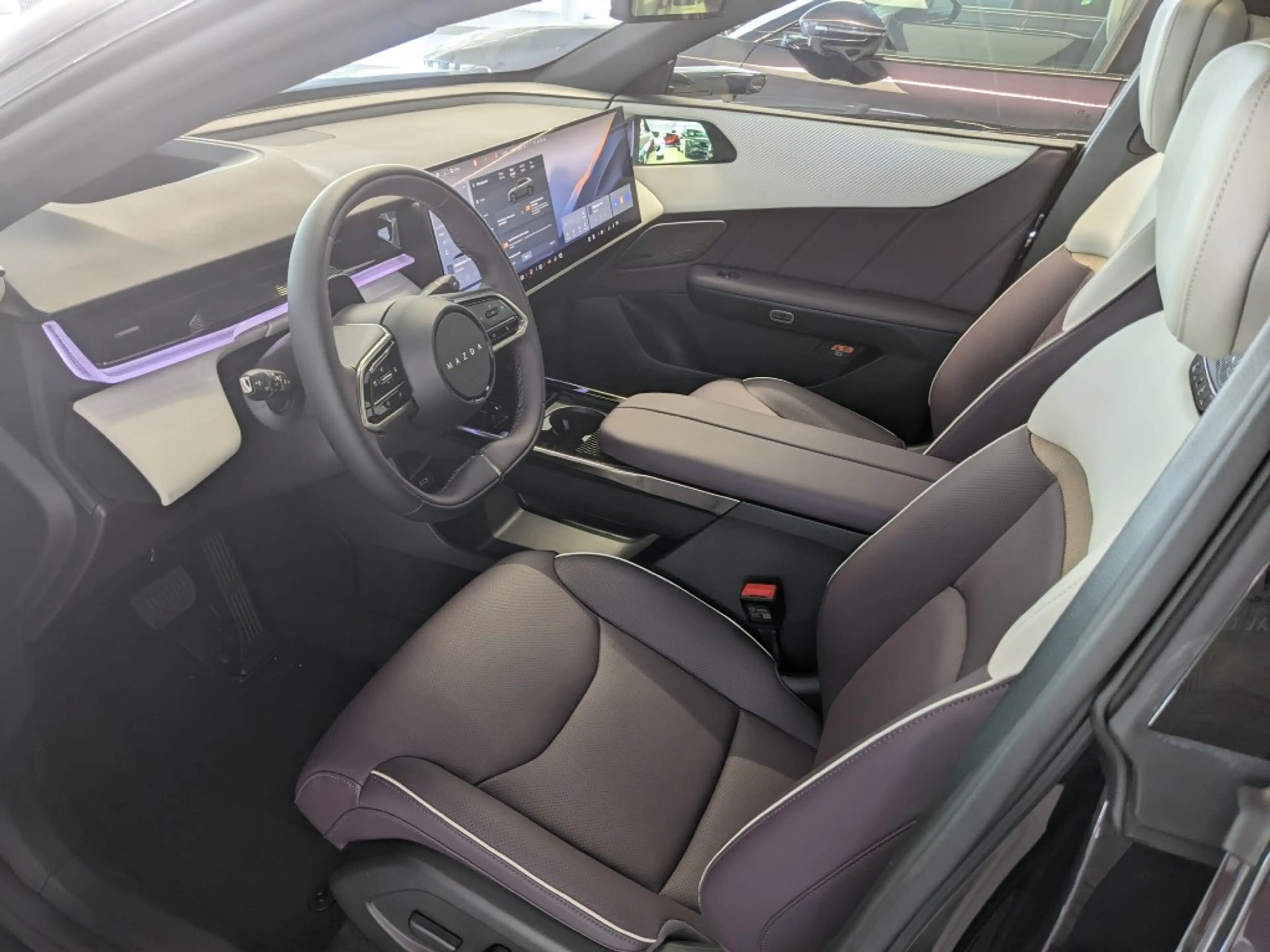 Mazda CX-6e EV (258PS) Takumi Plus Panoramadach NEU — photo 9