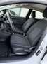 Ford Fiesta 5p 1.5 ecoblue (tdci) Business High 85cv Alb - thumbnail 14