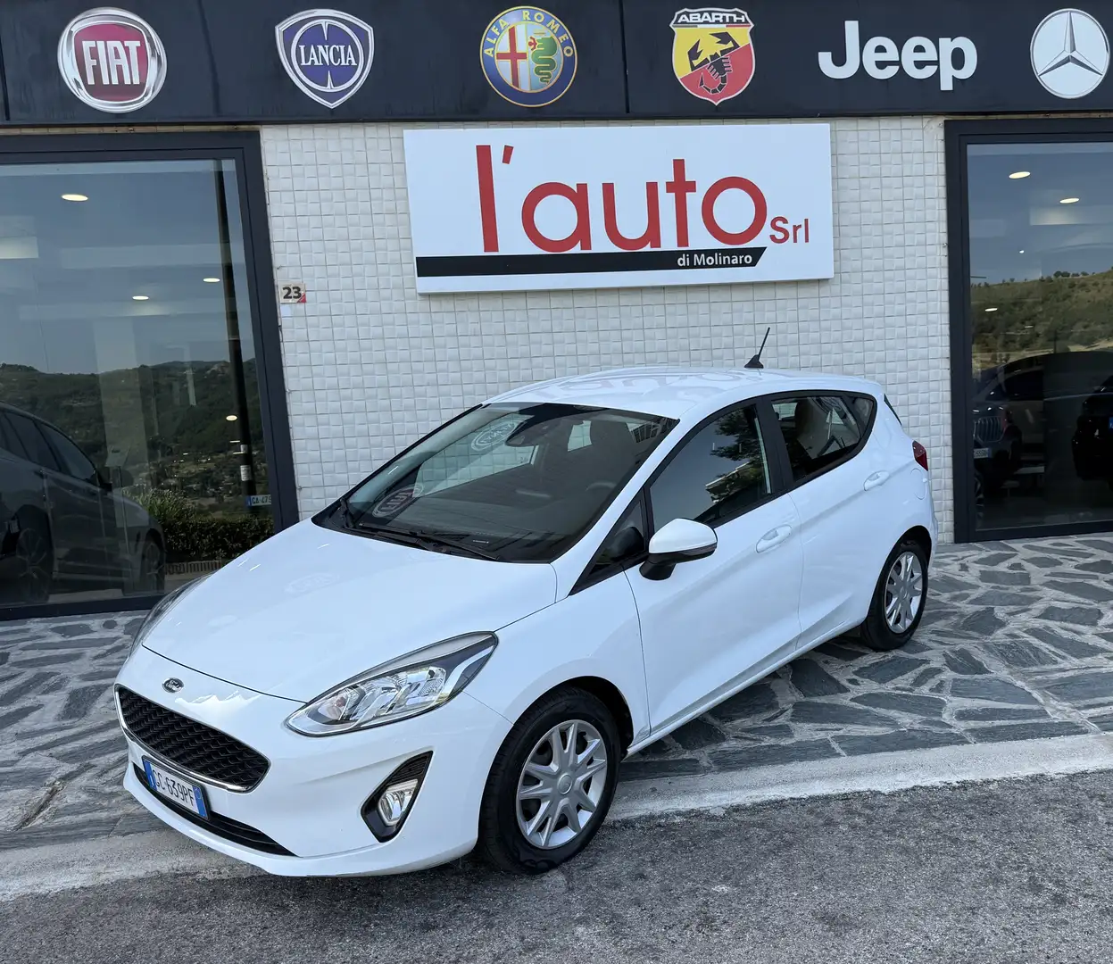 Ford Fiesta 5p 1.5 ecoblue (tdci) Business High 85cv Alb - 1
