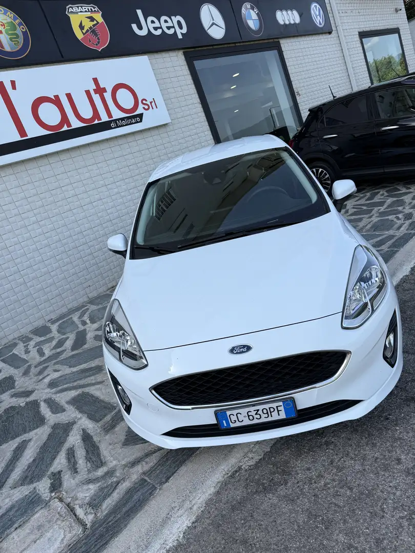 Ford Fiesta 5p 1.5 ecoblue (tdci) Business High 85cv Alb - 2