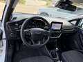 Ford Fiesta 5p 1.5 ecoblue (tdci) Business High 85cv Alb - thumbnail 8