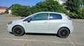 Fiat Punto 3p 1.4 easypower Virgin Radio Gpl - thumbnail 8