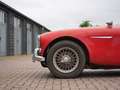 Austin-Healey 3000 BJ7 1963 JUST IN Rouge - thumbnail 36