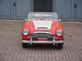 Austin-Healey 3000 BJ7 1963 JUST IN Rouge - thumbnail 3