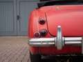 Austin-Healey 3000 BJ7 1963 JUST IN Rouge - thumbnail 30