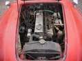 Austin-Healey 3000 BJ7 1963 JUST IN Rouge - thumbnail 20