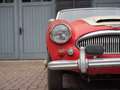 Austin-Healey 3000 BJ7 1963 JUST IN Rouge - thumbnail 8
