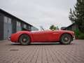 Austin-Healey 3000 BJ7 1963 JUST IN Rouge - thumbnail 8