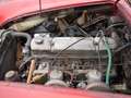 Austin-Healey 3000 BJ7 1963 JUST IN Rouge - thumbnail 21