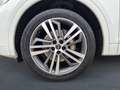 Audi Q5 55 TFSI e qu S line MATRIX Luft HuD MASSAGE Weiß - thumbnail 7