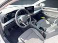 Volkswagen Golf Life 1.5 TSI LED/AppCon/LenkHz/SHZ/ACC/Clim Weiß - thumbnail 12