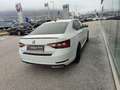 Skoda Superb 1,4 TSI ACT Sportline Weiß - thumbnail 4