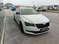 Skoda Superb 1,4 TSI ACT Sportline Weiß - thumbnail 5