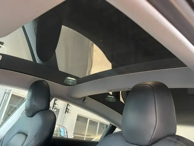 Tesla Model 3 view 14