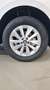 Skoda Kamiq Selection 1.0 TSI 70 kW (95 CV) Manual 5 vel. Blanco - thumbnail 6