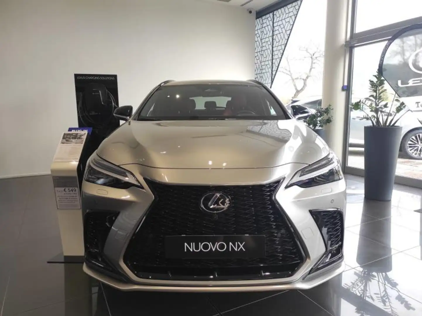 Lexus NX 300 2ª serie Plug-in 4WD F-Sport Grau - 2