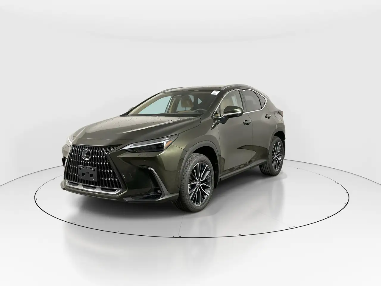 Lexus NX fotografie Lexus NX