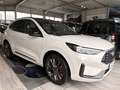 Ford Kuga 2.5 Duratec FHEV SOUND EDITION (DFK) Weiß - thumbnail 6