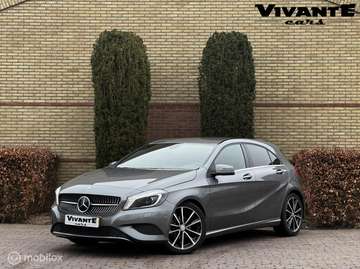 Edition Diamant-Grill*Cruise*Bi-Xenon