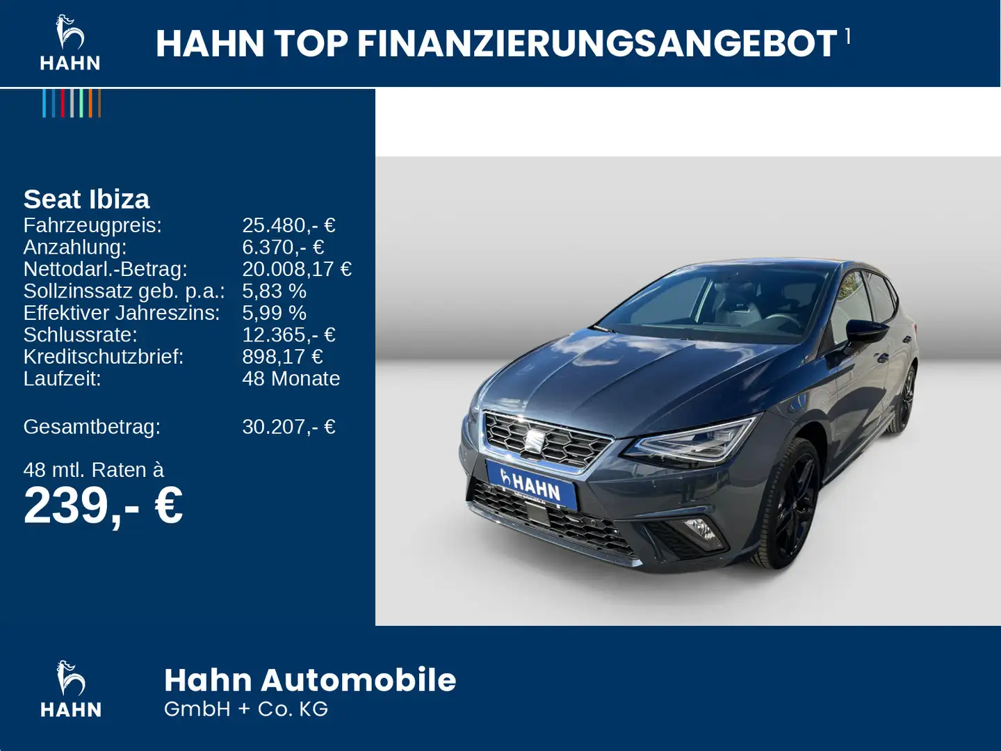 SEAT Ibiza FR Black Edition 1.0TSI 116PS 6Gang Grau - 2