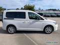 Volkswagen Caddy 2,0 l TDI Life Kamera 7-Sitzer ACC LED APP Weiß - thumbnail 7