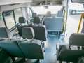 Ford Transit Bus 460L4 Trend SHZ KAMERA STANDHZ Fehér - thumbnail 7