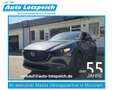 Mazda CX-30 2.0L e-SKYACTIV X 186ps Bose-Sound, Navi, Rückfahr Grau - thumbnail 1