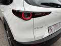 Mazda CX-30 e-Skyactive G140 Centre-Line | Auto Stahl Wien 21 Alb - thumbnail 5