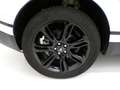 Land Rover Range Rover Velar Range Rover Velar 2.0d i4 mhev S 4wd 204cv auto Bianco - thumbnail 8