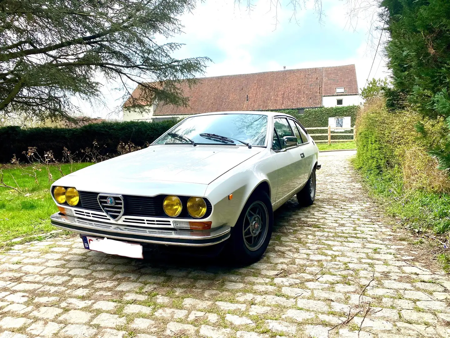 Alfa Romeo Alfetta GT 1.6 in heel mooie staat - 1