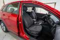 Kia Niro 1.6 HEV Drive Roşu - thumbnail 15