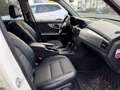 Mercedes-Benz GLK 220 CDI 4Matic PANO/AUT/LEDER/NAVI/XENON/AHK White - thumbnail 8