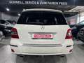 Mercedes-Benz GLK 220 CDI 4Matic PANO/AUT/LEDER/NAVI/XENON/AHK Weiß - thumbnail 6