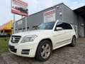 Mercedes-Benz GLK 220 CDI 4Matic PANO/AUT/LEDER/NAVI/XENON/AHK White - thumbnail 3