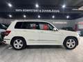 Mercedes-Benz GLK 220 CDI 4Matic PANO/AUT/LEDER/NAVI/XENON/AHK Weiß - thumbnail 8