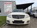 Mercedes-Benz GLK 220 CDI 4Matic PANO/AUT/LEDER/NAVI/XENON/AHK White - thumbnail 1