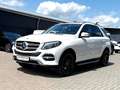 Mercedes-Benz GLE 250 d 4MATIC AMG/SCHIEBEDACH/STANDHEIZUNG/ Blanc - thumbnail 3