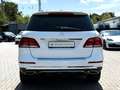 Mercedes-Benz GLE 250 d 4MATIC AMG/SCHIEBEDACH/STANDHEIZUNG/ Blanc - thumbnail 7