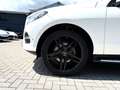 Mercedes-Benz GLE 250 d 4MATIC AMG/SCHIEBEDACH/STANDHEIZUNG/ Blanc - thumbnail 4