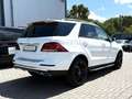 Mercedes-Benz GLE 250 d 4MATIC AMG/SCHIEBEDACH/STANDHEIZUNG/ Blanc - thumbnail 6