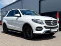 Mercedes-Benz GLE 250 d 4MATIC AMG/SCHIEBEDACH/STANDHEIZUNG/ Blanc - thumbnail 1