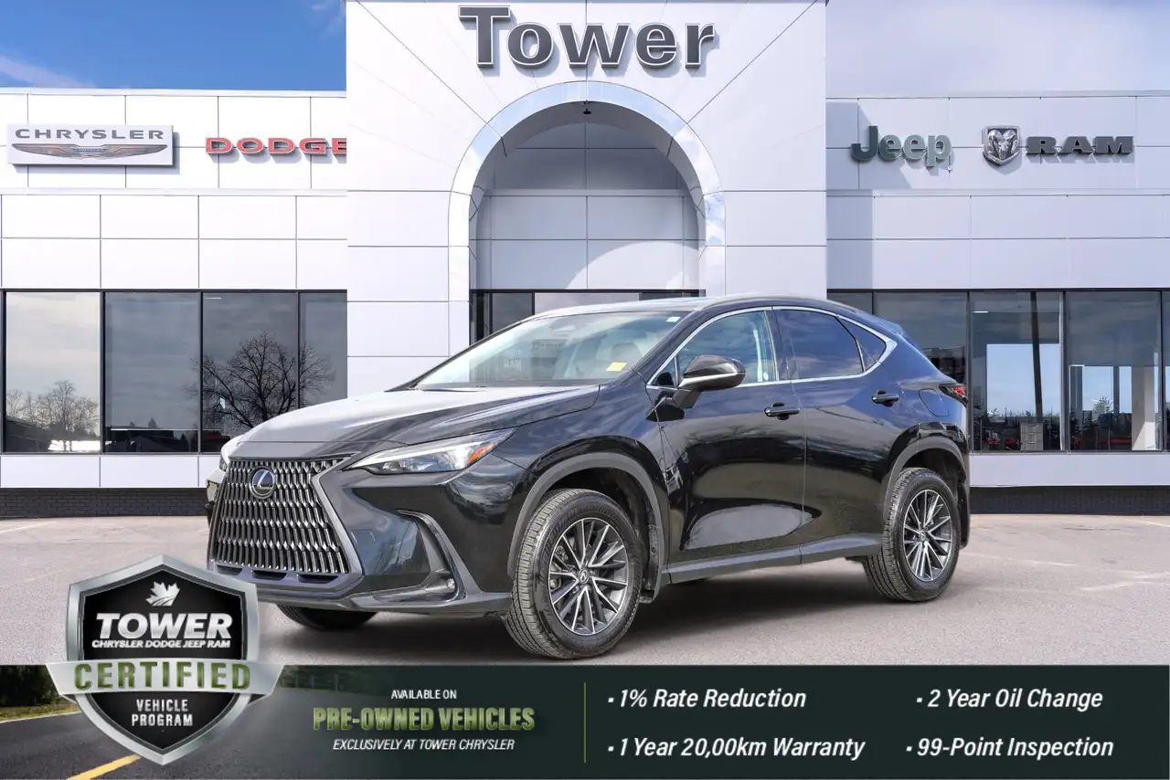 2024 Lexus NX photo 2024 Lexus NX
