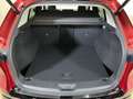 Mazda CX-5 CX-5 2.5 mhev Homura pelle beige Panoramic Sunroof 2wd 141cv auto Rot - thumbnail 13