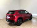 Mazda CX-5 CX-5 2.5 mhev Homura pelle beige Panoramic Sunroof 2wd 141cv auto Rot - thumbnail 4
