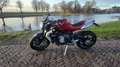MV Agusta Brutale 800 Trepistoni Rouge - thumbnail 11